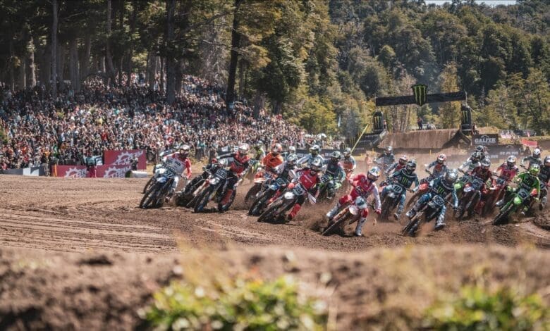 MX 1